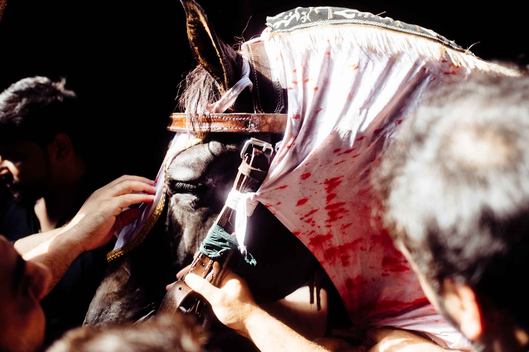 Hands reaching to a horse draped in a blood-spattered white cloth, from Horse / Men by Nad-E-Ali